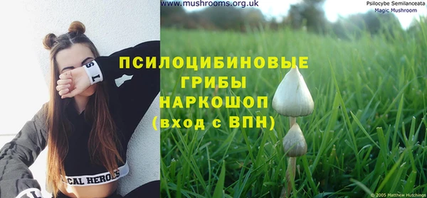 метадон Арсеньев