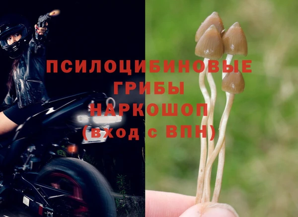 метадон Арсеньев