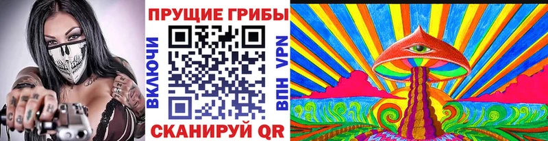 Псилоцибиновые грибы Psilocybine cubensis  Купить закладки  Подольск 